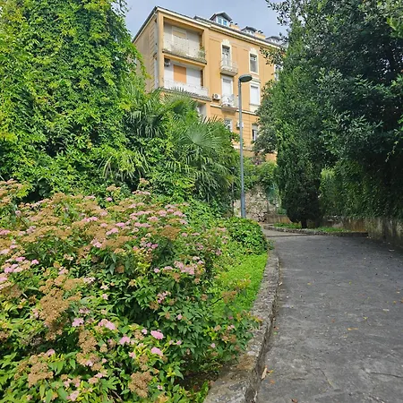 No8 *